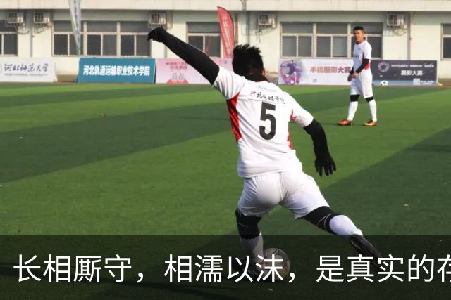 长相厮守，相濡以沫，是真实的存在吗？